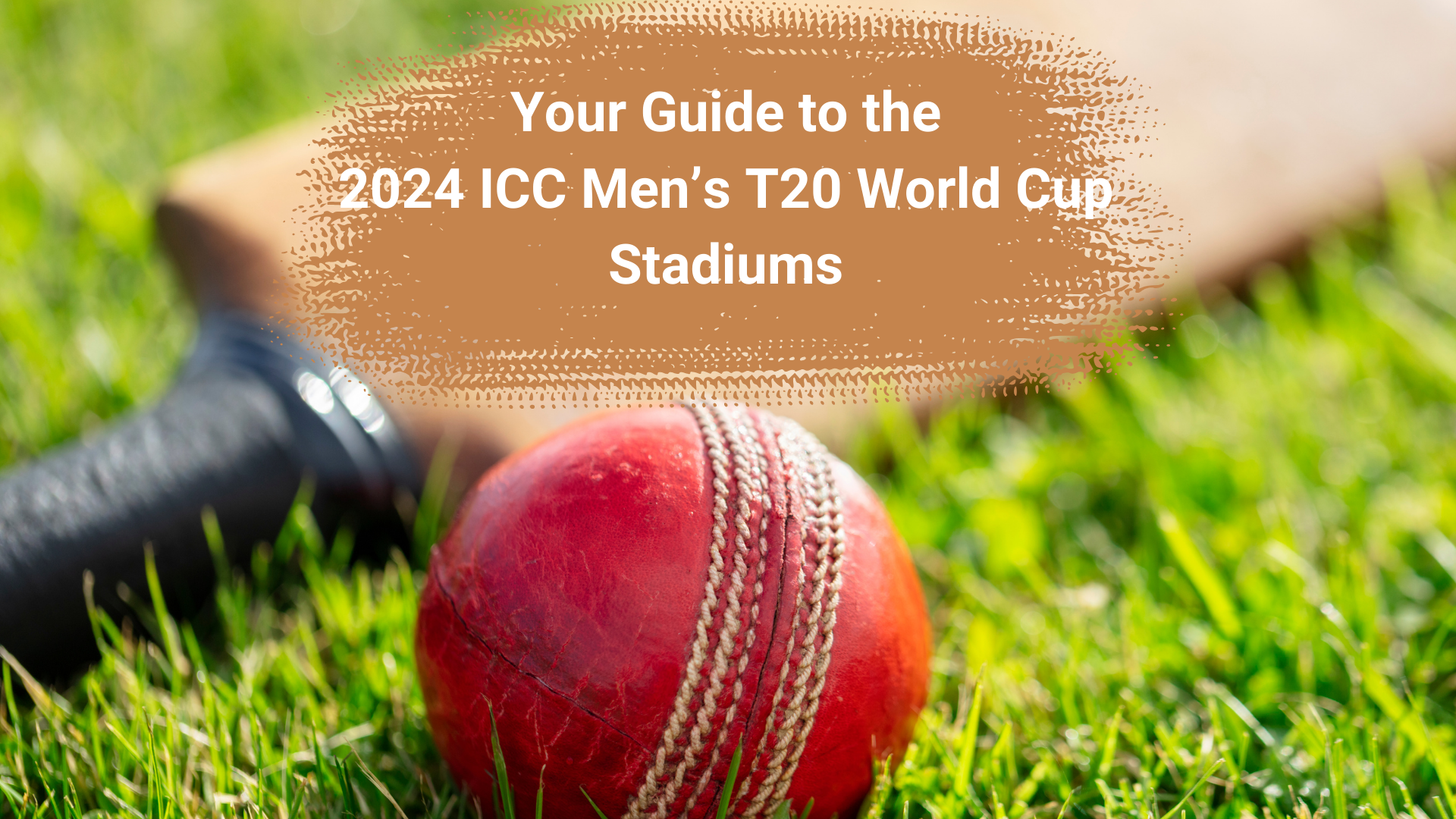 Around the Wickets: Your Guide to the 2024 Cricket World Cup Stadiums