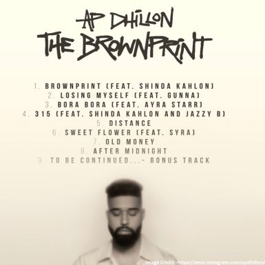 Is The Brownprint AP Dhillon’s Most Ambitious Project Yet? Find Out Here!